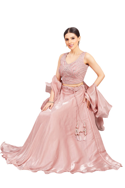 Pari Lehenga Choli - Roop Darshan