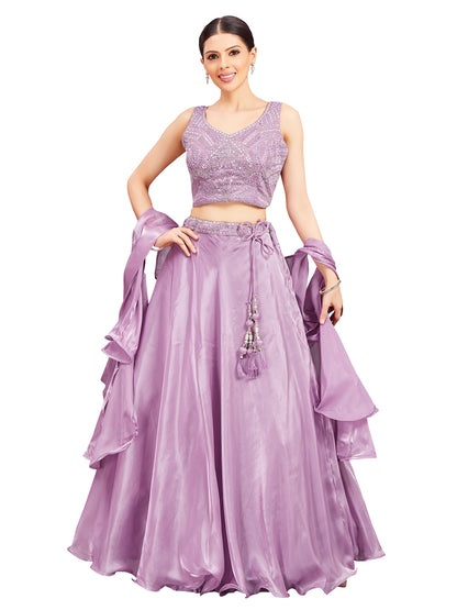 Pari Lehenga Choli - Roop Darshan