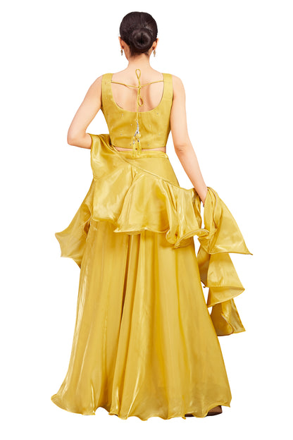 Pari Lehenga Choli - Roop Darshan