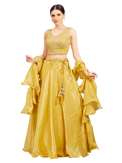 Pari Lehenga Choli - Roop Darshan
