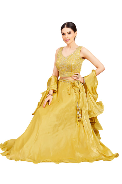 Pari Lehenga Choli - Roop Darshan