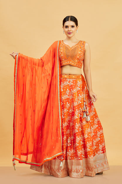 Aadhliya Lehenga Choli