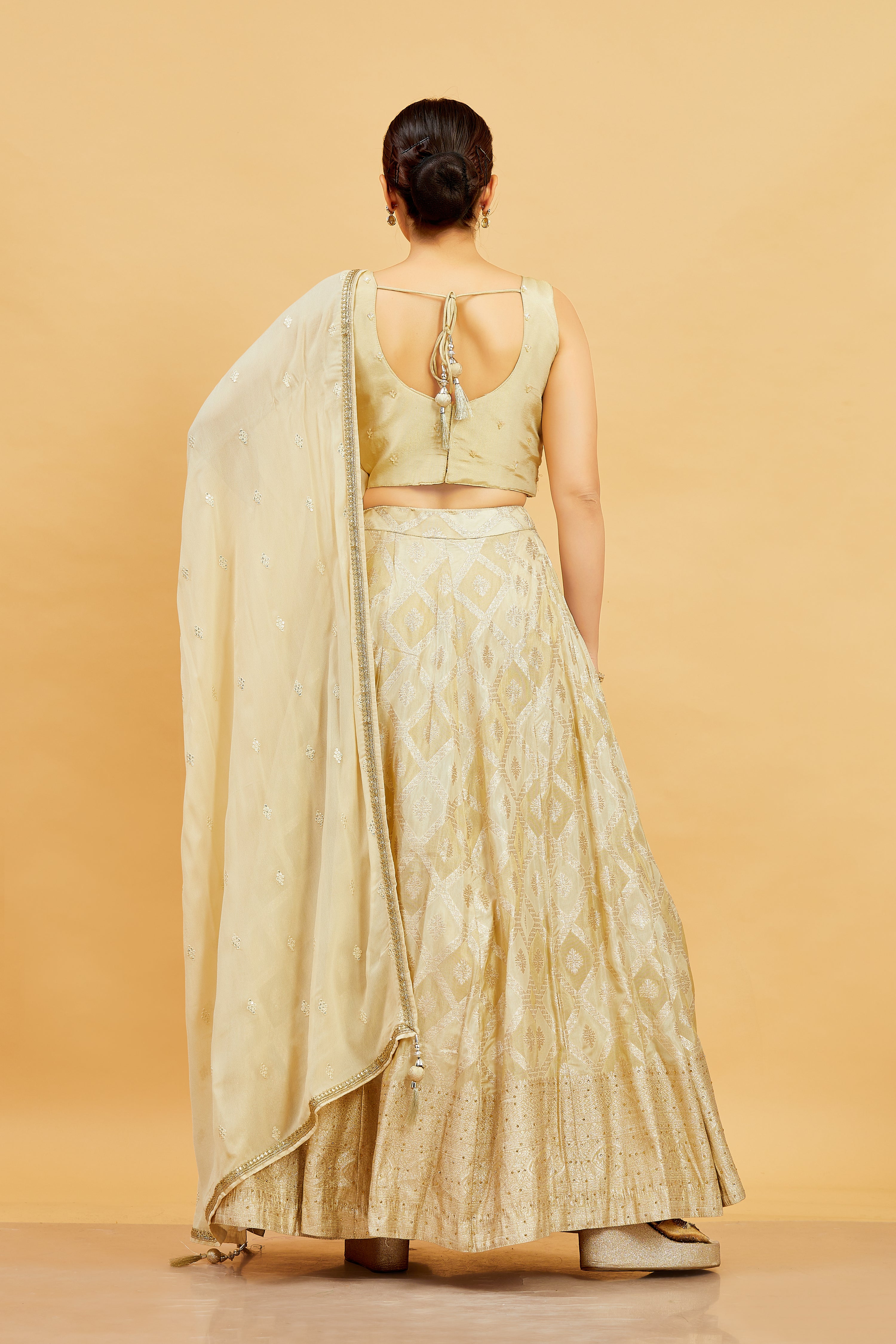 Jenika Lehenga Choli - Roop Darshan