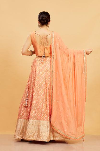 Mahika Lehenga Choli