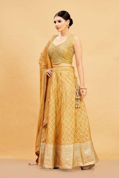 Mahika Lehenga Choli